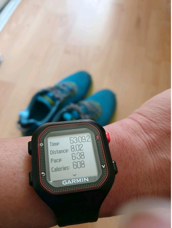 garmin forerunner 25 sale